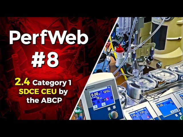PerfWeb 8 - Validating Graft Patency - Devinder Bhatia, MD