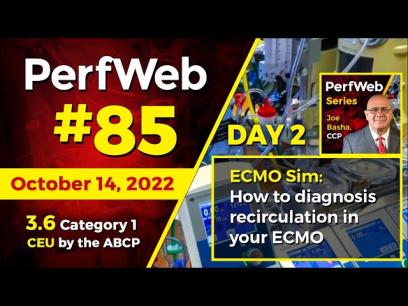 PerfWeb 85 - Day 2 - How to diagnosis recirculation in your ECMO circuit. Simulation