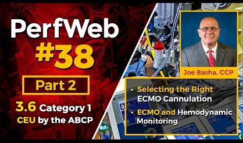 Selecting the right ECMO cannulation. ECMO and hemodynamic monitoring