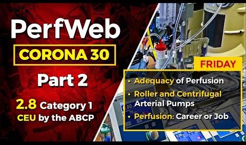 CORONA 30 Adequacy of Perfusion. Goal directed perfusion. Roller pumps vs centrifugal pumps