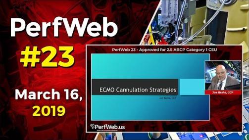 PerfWeb 23 ECMO cannulation strategies