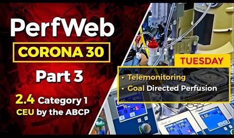 CORONA 30 Telemonitoring and telemedicine during coronavirus pandemic. Telemonitoring and ECMO