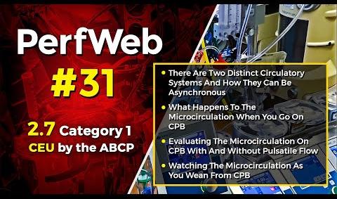 There are two distinct circulatory systems and how they can be asynchronous. Microcirculation on CPB - Day 2