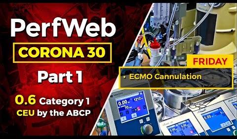 CORONA 30 ECMO Cannulation Extracorporeal Membrane Oxygenation