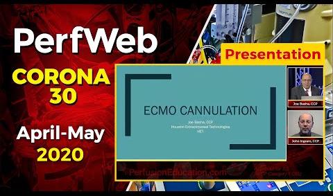 ECMO (Extracorporeal Membrane Oxygenation) -  Cannulation strategies