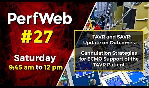 PerfWeb 27 TAVR - SAVR Update on outcomes; Cannulation strategies for ECMO - Day 3